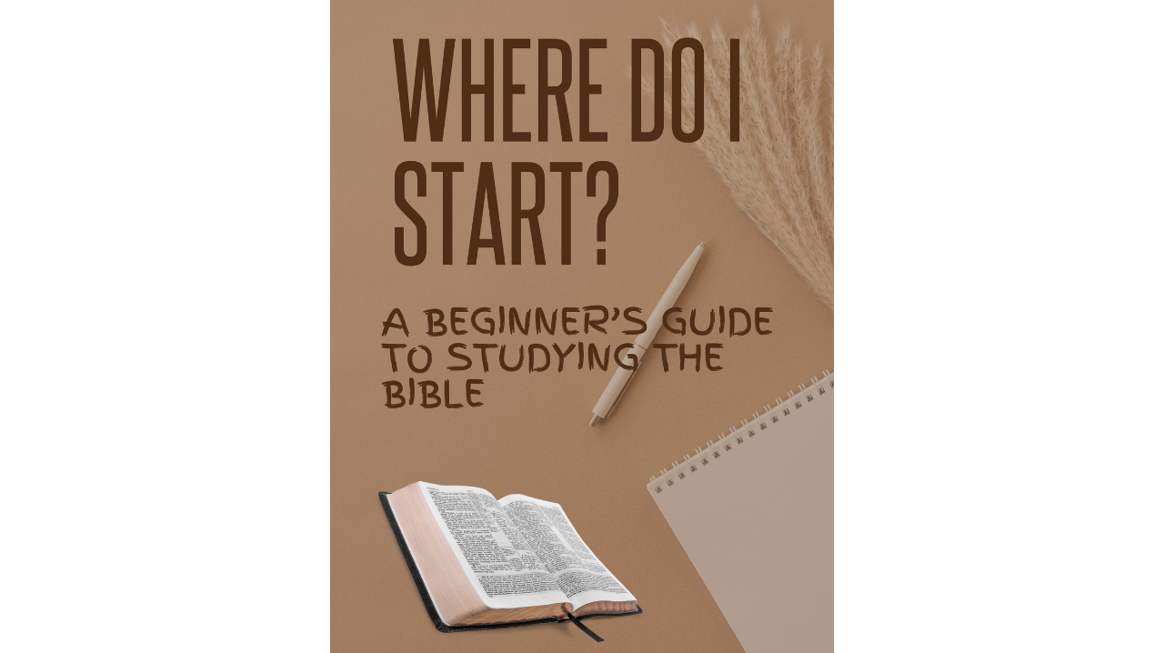 Beginner's Bible Study Guide